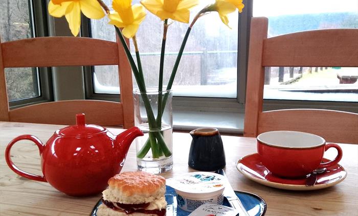 Elan Valley Cafe scone and tea